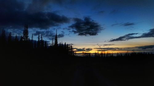 Silhouette trees against sky at sunset