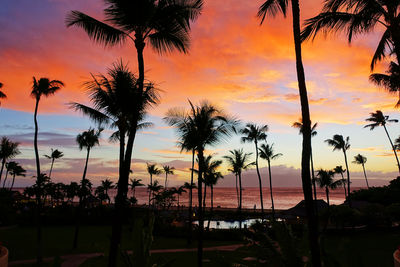 Silhouette palm trees on beach against sky during sunset