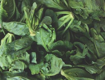 Full frame shot of vegetables