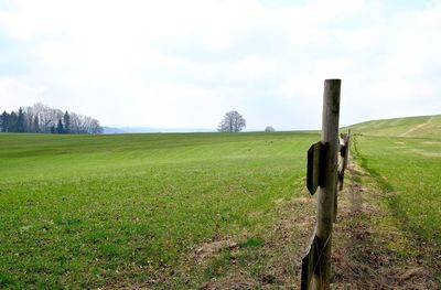 Scenic view of field against sky