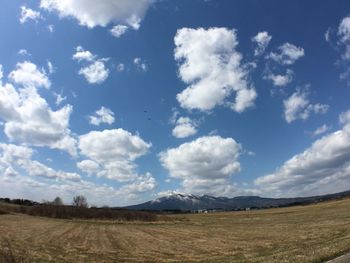 Scenic view of landscape against sky