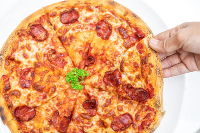 High angle view of pizza