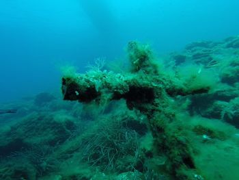 Aerial view of blue sea