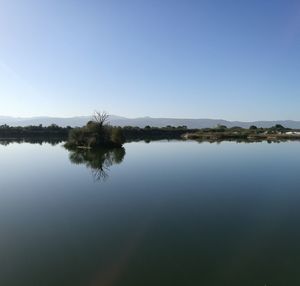 Scenic view of lake against clear blue sky