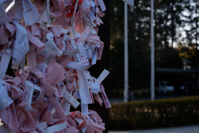 Close-up of padlocks hanging on paper