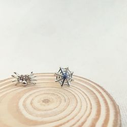 Close-up of insect on table against white background