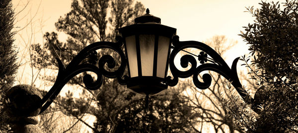 Low angle view of trees against sky