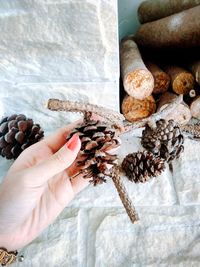 Close-up of hand holding crab