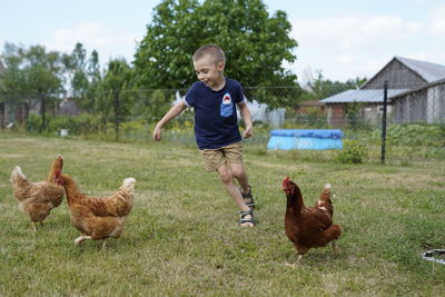 Full length of boy and ducks on plants