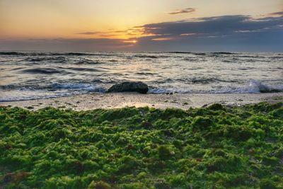 Scenic view of sea against sky during sunset