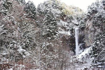 Scenic view of waterfall in forest during winter