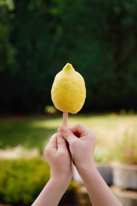 Close-up of hand holding apple