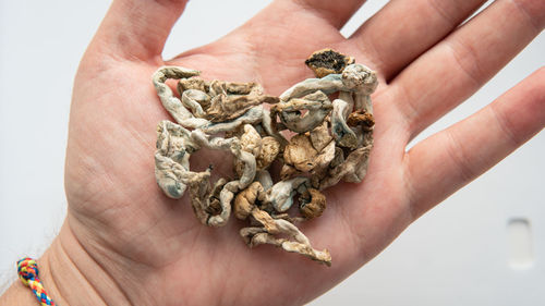 Close-up of hand holding cigarette