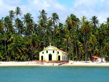View of church infront of palm trees by the sea