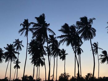 Silhouette palm trees against sky during sunset