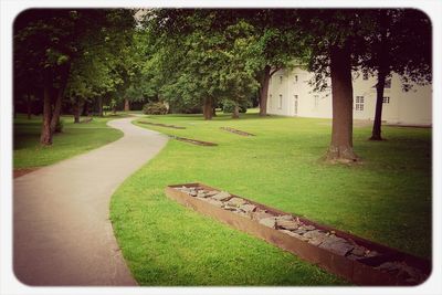 Footpath in park