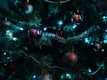 Close-up of christmas tree