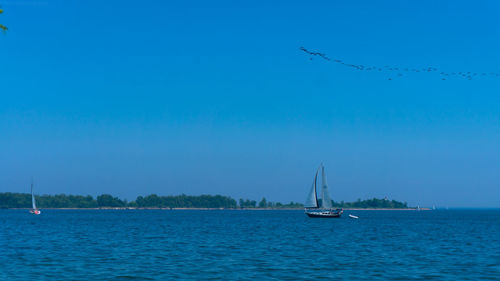Sailboat sailing in sea against clear blue sky