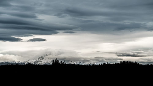 Silhouette trees against sky