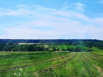 Scenic view of landscape against sky