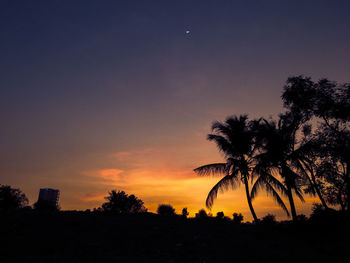 Silhouette palm trees against sky during sunset