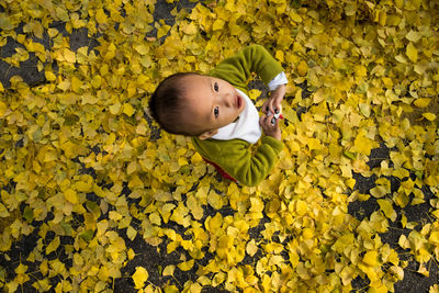 High angle view of boy lying on yellow autumn leaves