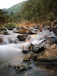 Rocks amidst stream at forest