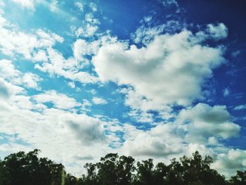 Low angle view of trees against sky