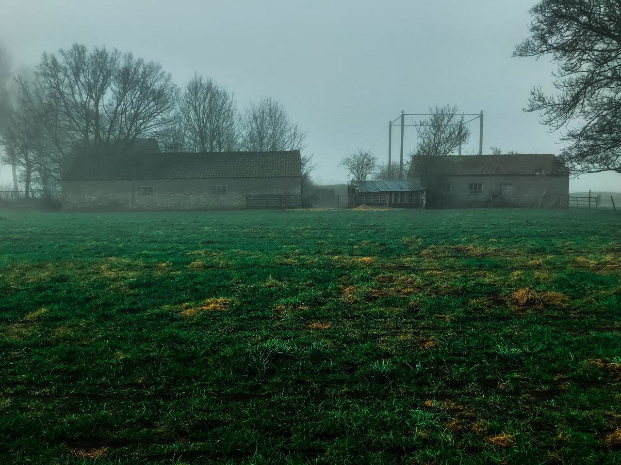 VIEW OF FIELD AGAINST SKY