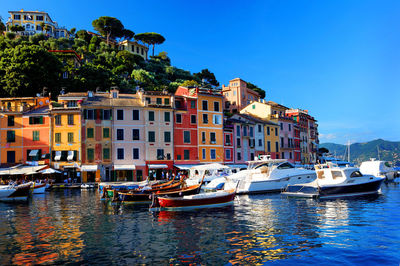 Boats moored on sea against buildings in city