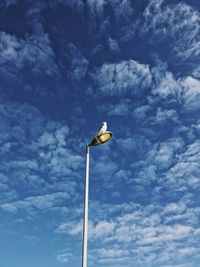 Low angle view of blue sky