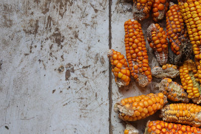 Close-up of pumpkins on wall