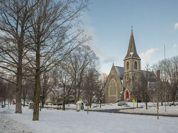 Trees by building against sky during winter