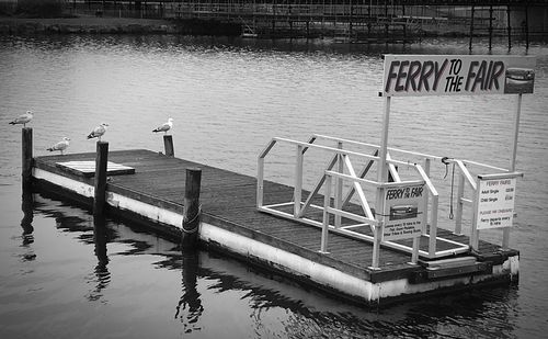 Pier on lake