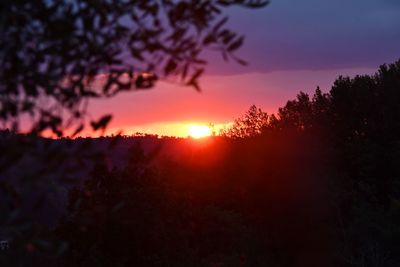 Silhouette trees against romantic sky at sunset