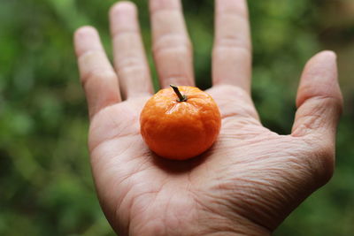 Close-up of hand holding fruit