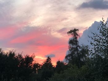 Low angle view of silhouette trees against sky during sunset