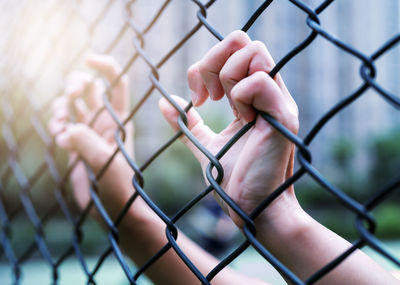 Cropped hands holding chainlink fence