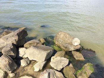 High angle view of rocks in sea