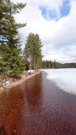 View of river along trees
