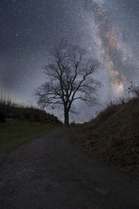 Bare tree on field against sky at night