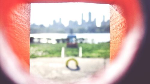 Close up of red flower