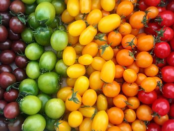 Full frame shot of various tomatoes