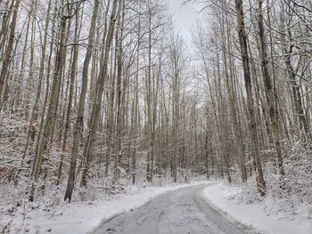 Snow covered road amidst trees in forest