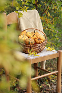 Close-up of food on table