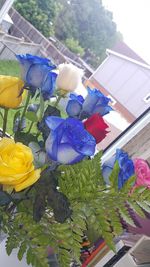 Close-up of flower bouquet against plants