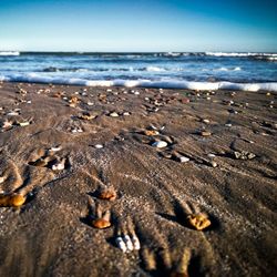 Scenic view of sea shore