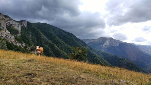 Scenic view of landscape against sky