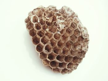 Close-up of dried honeycomb over white background