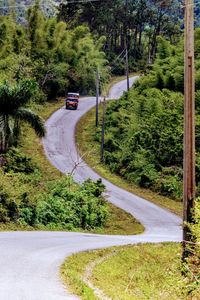 High angle view of road amidst trees in city